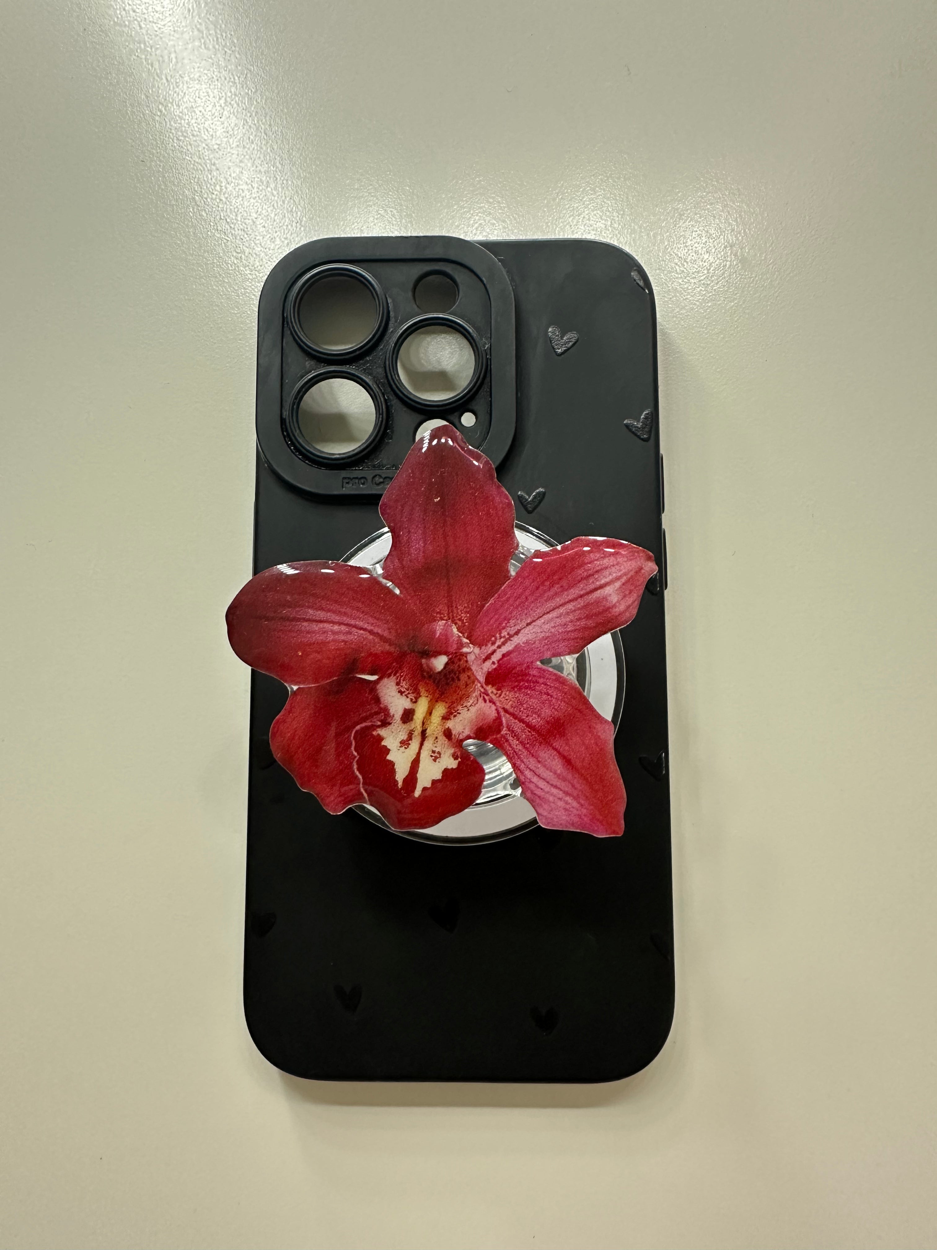 Blood Velvet Orchid