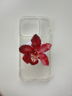 Blood Velvet Orchid