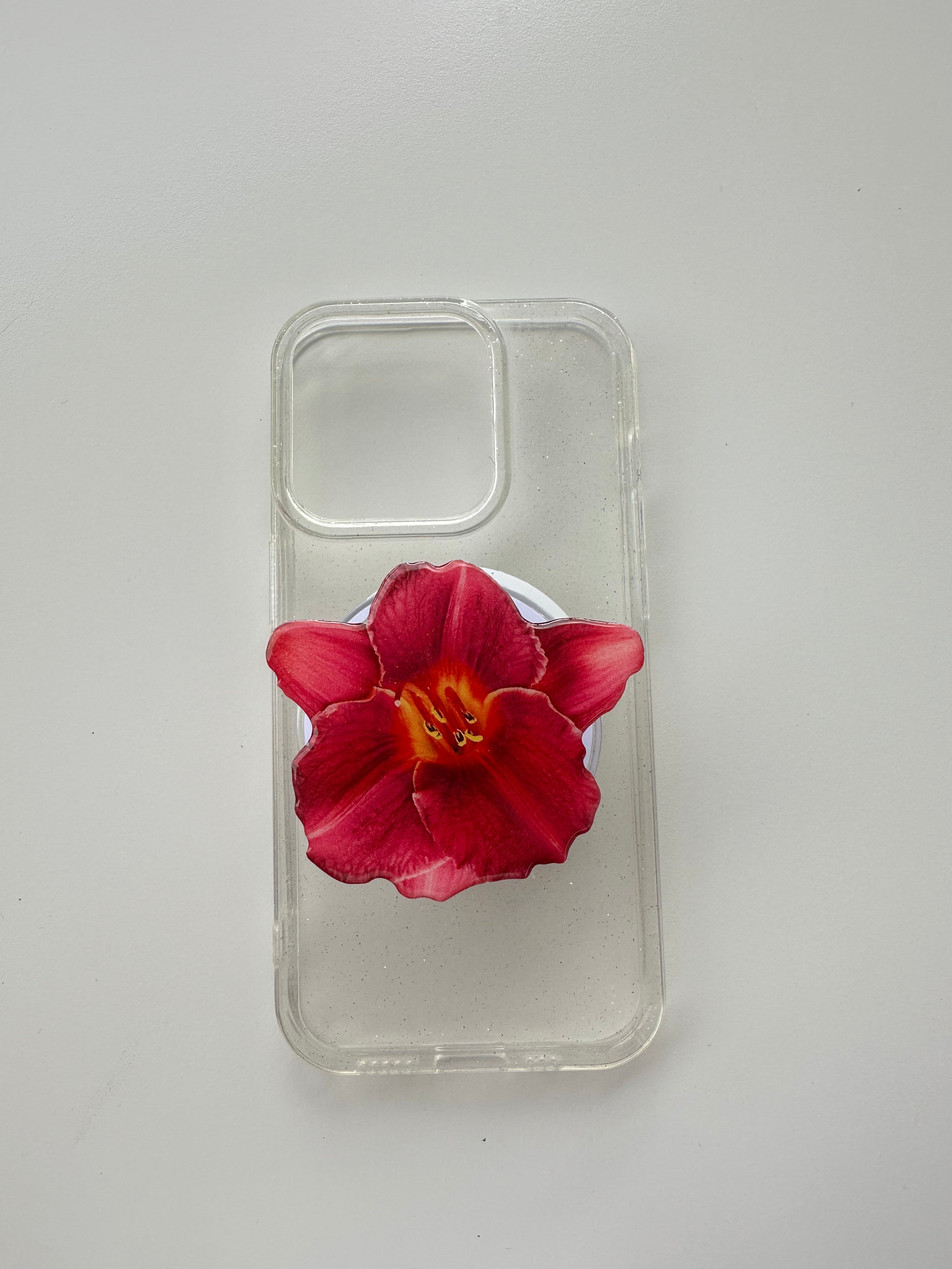 Rose Orchid