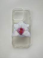 Snow White Orchid