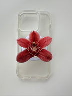 Red Wine Orchid
