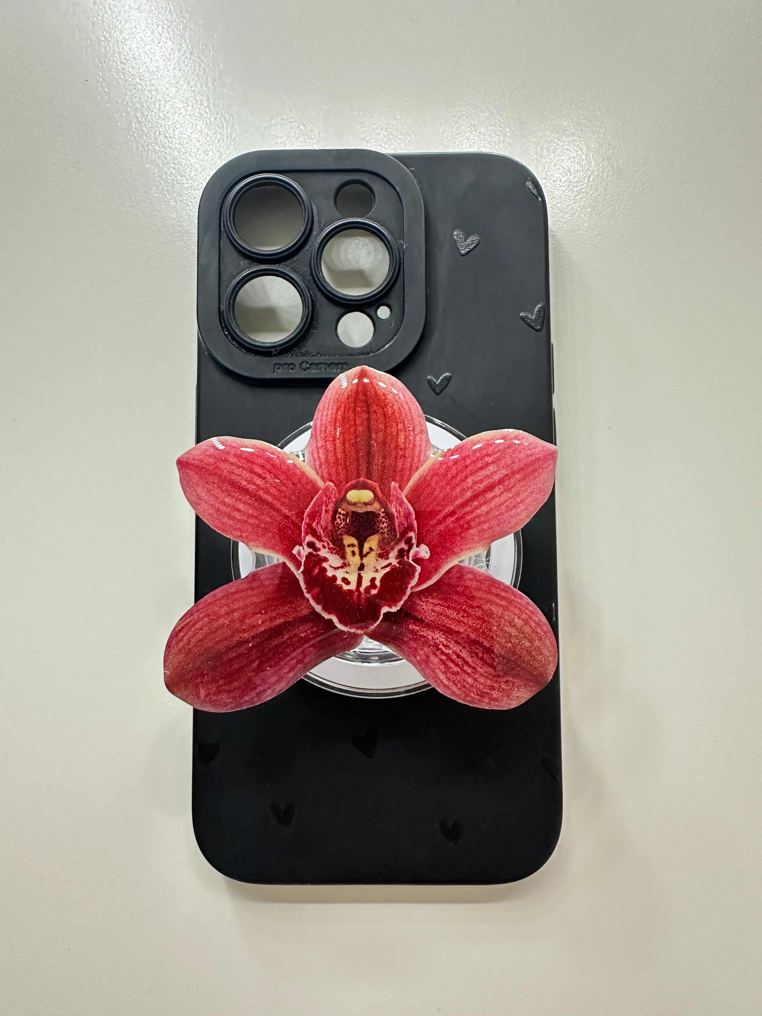 Red Wine Orchid
