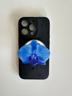 Ocean Orchid