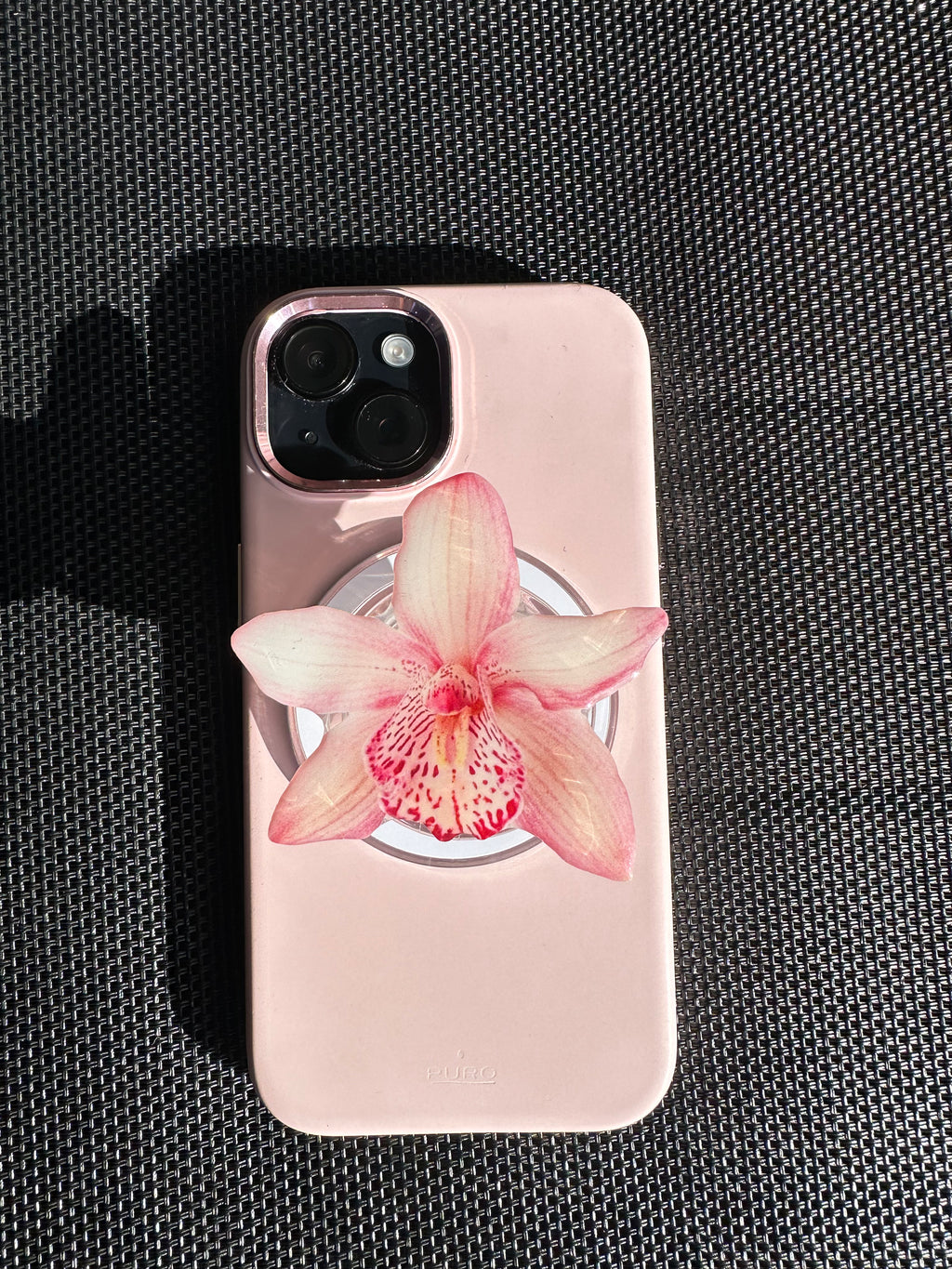 Princess Baby Pink Orchid