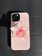 Princess Baby Pink Orchid