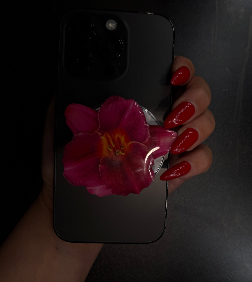 Rose Orchid