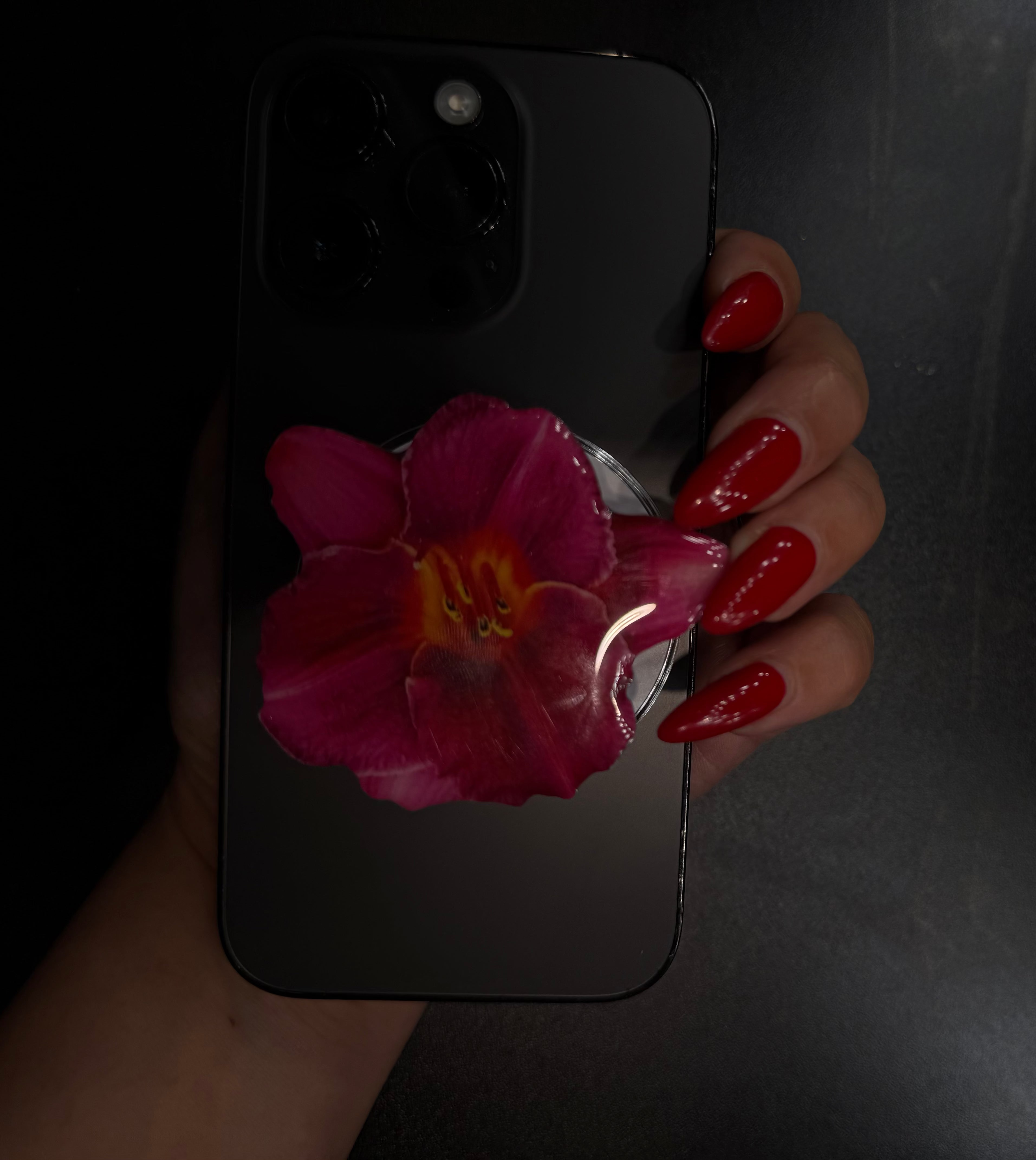 Rose Orchid