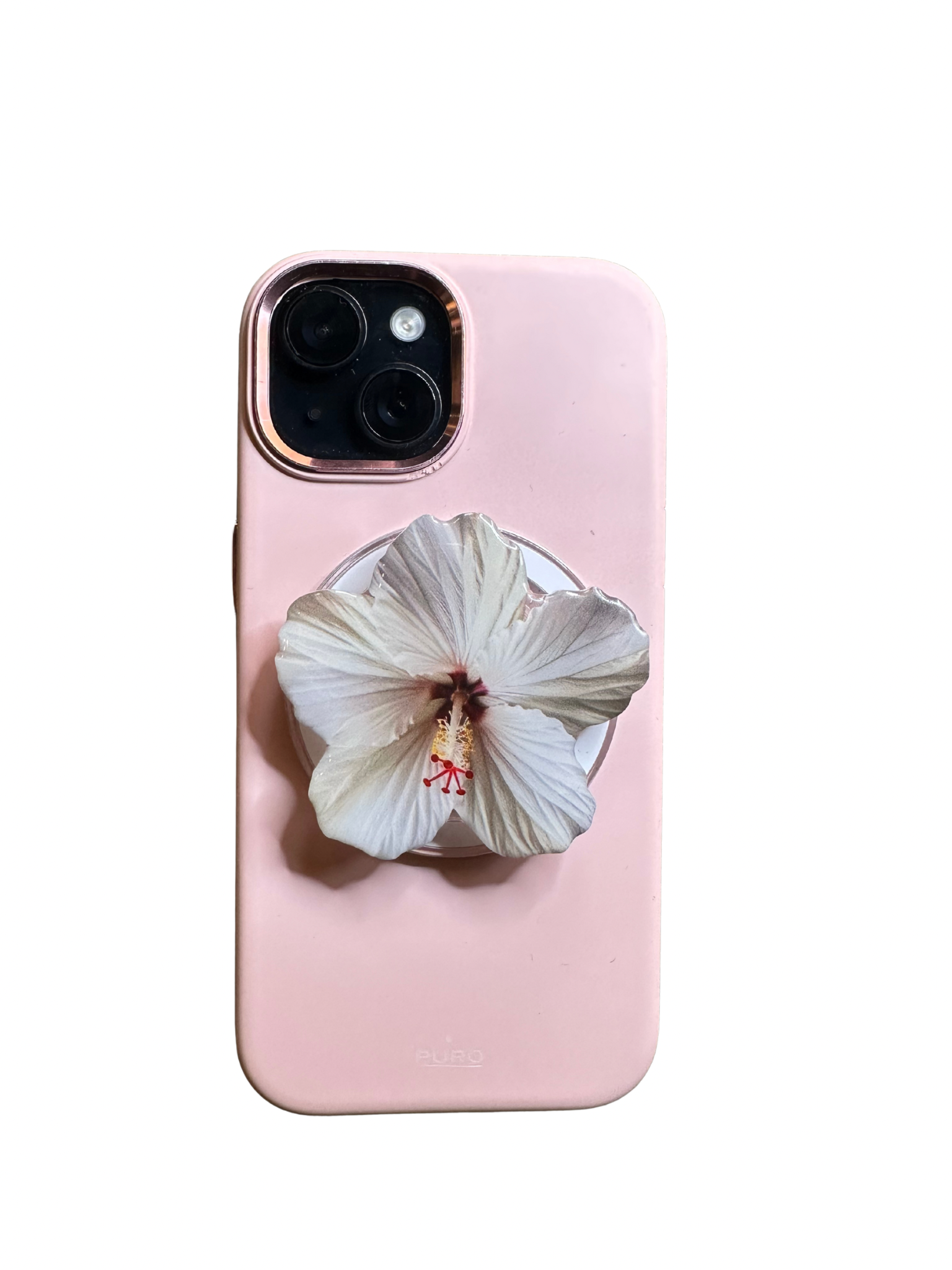 Black & White Orchid